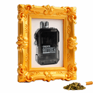 Aspire GoTek X Pod Kit