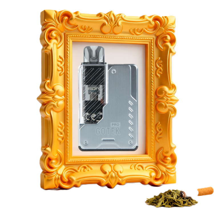 Aspire GoTek Pro Vape Pod Kit - Titanium