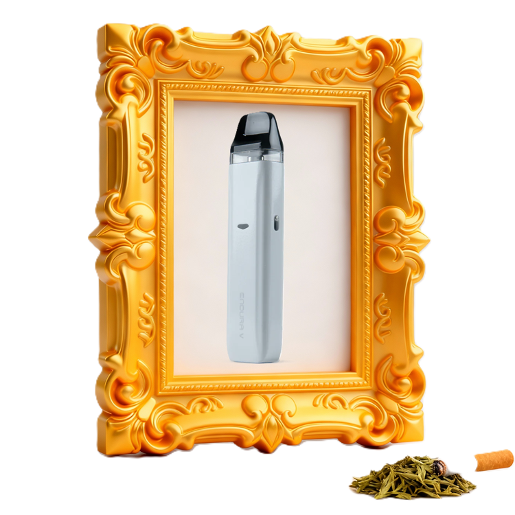 Innokin Endura V Vape Pod Kit - White