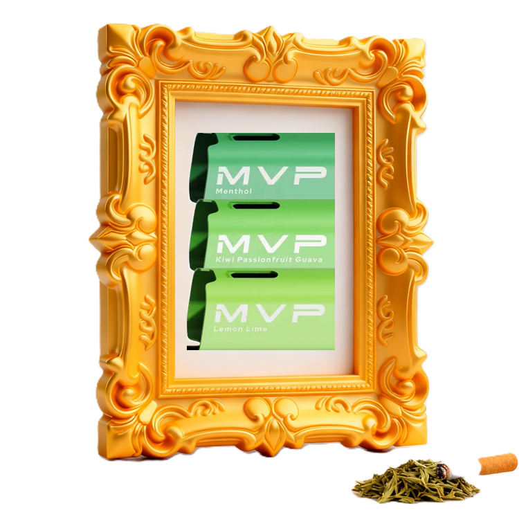 Innokin MVP 60K Pod Kit